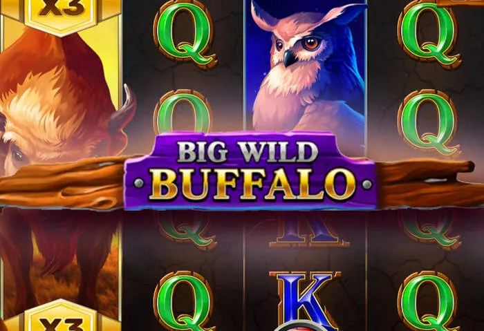 Secure login and exciting casino games available at Bigspincasinodownload Casino 2024.